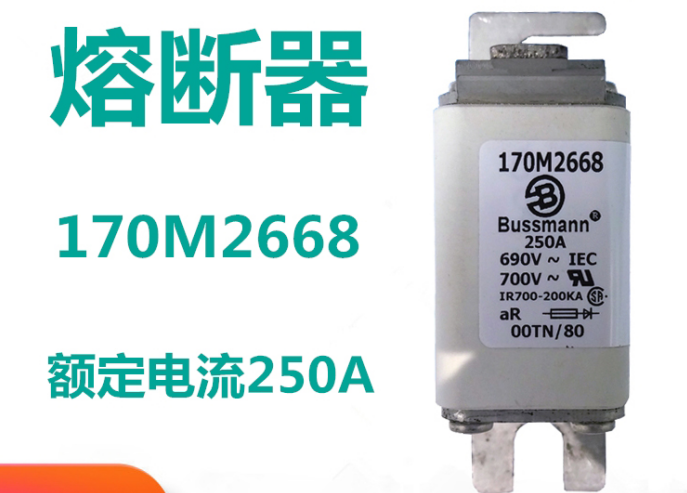 保險(xiǎn)絲的組成部分 170M2668